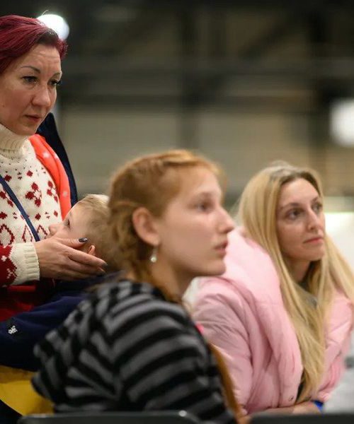 Більшість українських біженців – висококваліфіковані фахівці з вищою освітою