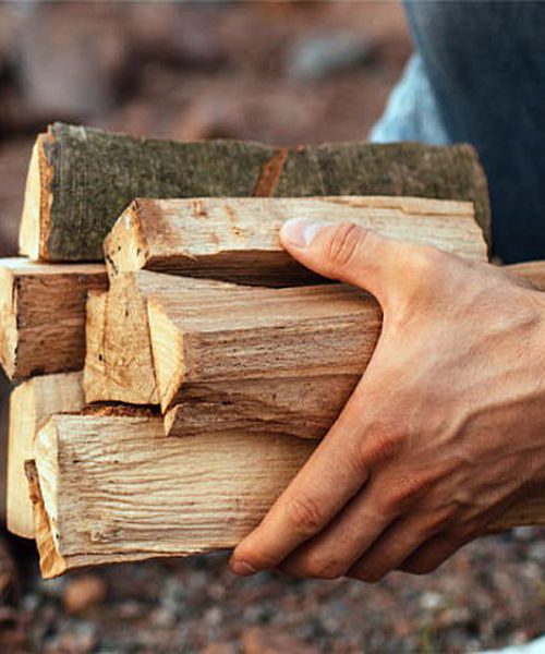 Відтепер дрова з лісгоспів можна замовити в інтернет-магазині