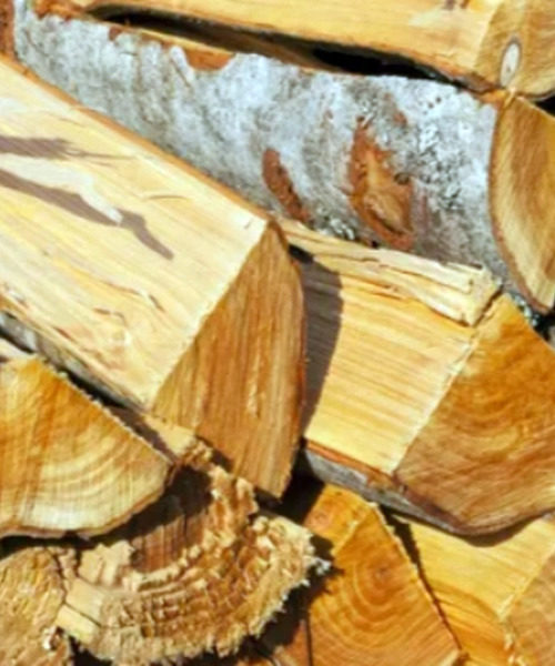 Для отримання безкоштовних дров мешканці прифронтових територій мають написати заяву