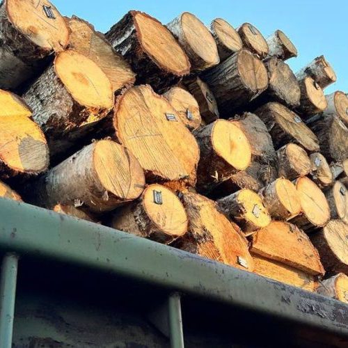 Безоплатні дрова прифронтовим районам обіцяють доставити до початку холодів