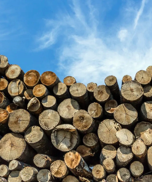 В Україні заборонили експорт паливної деревини