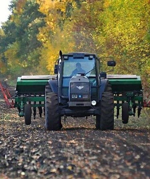 В Україні вже посіяли 4,1 млн га озимих зернових культур
