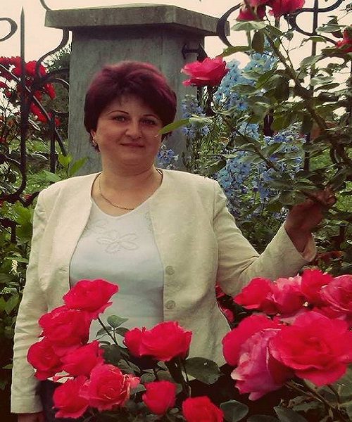 Львів’янка зібрала колекцію з 70 сортів троянд