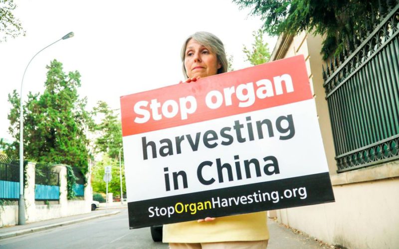 Жінка навпроти посольства КНР закликає припинити примусове вирізання органів у Китаї